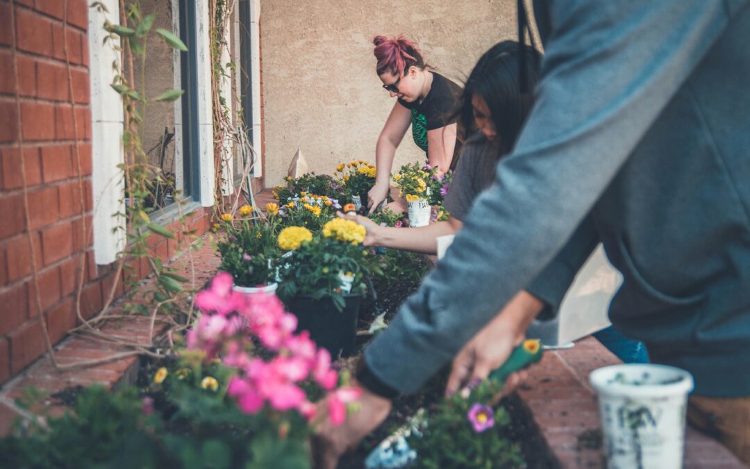 Small Actions, Lasting Impact
